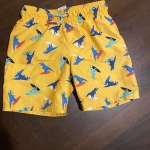 Toddler boys swim trunks size 5T